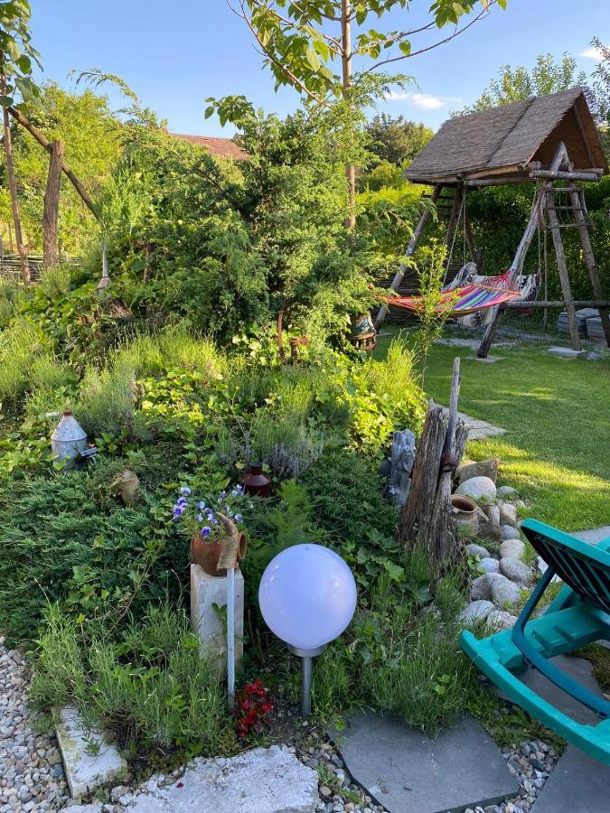 Ferienwohnung Casa Cezara Silvasu de Jos Exterior foto