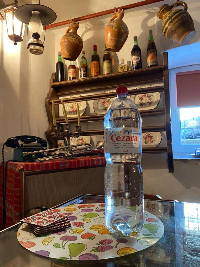 Ferienwohnung Casa Cezara Silvasu de Jos Exterior foto
