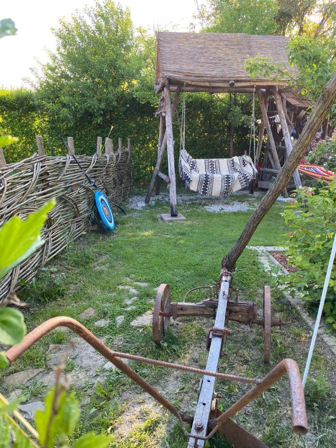 Ferienwohnung Casa Cezara Silvasu de Jos Exterior foto