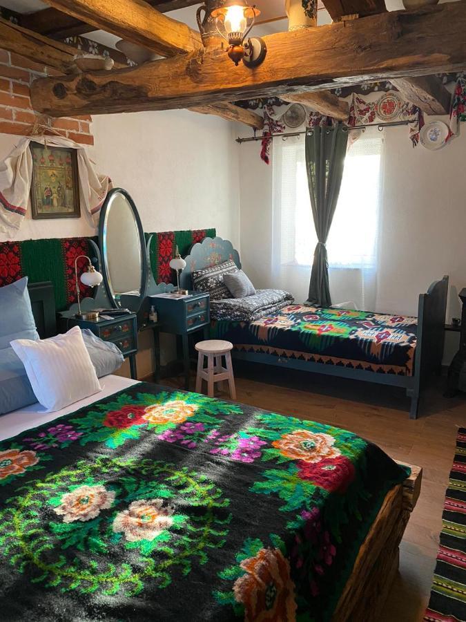 Ferienwohnung Casa Cezara Silvasu de Jos Exterior foto