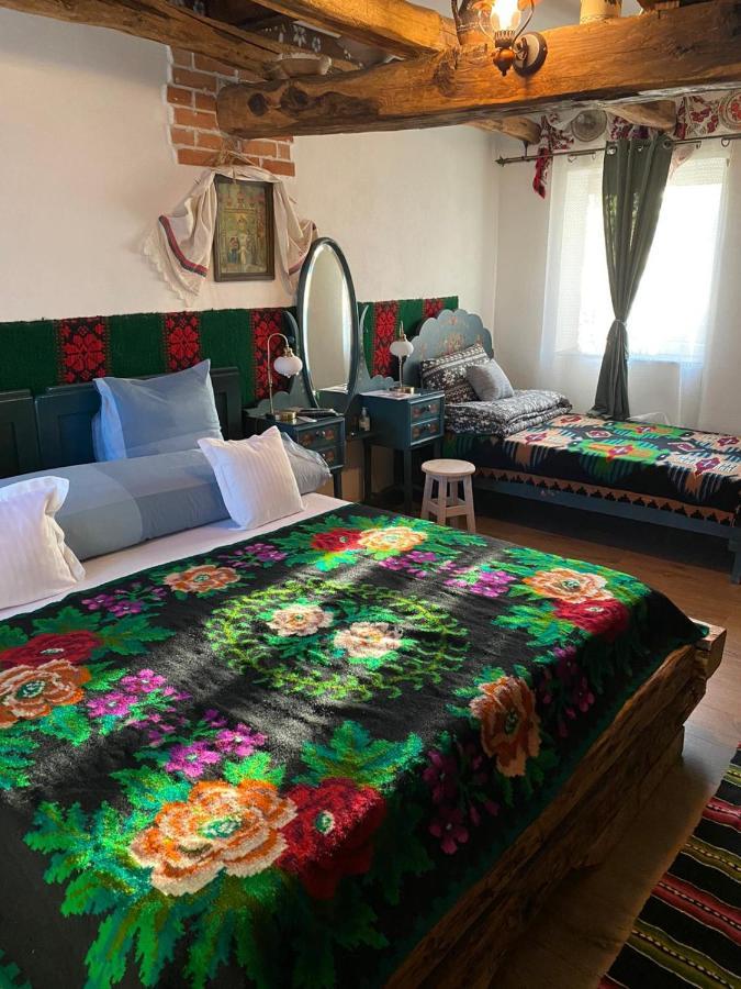 Ferienwohnung Casa Cezara Silvasu de Jos Exterior foto