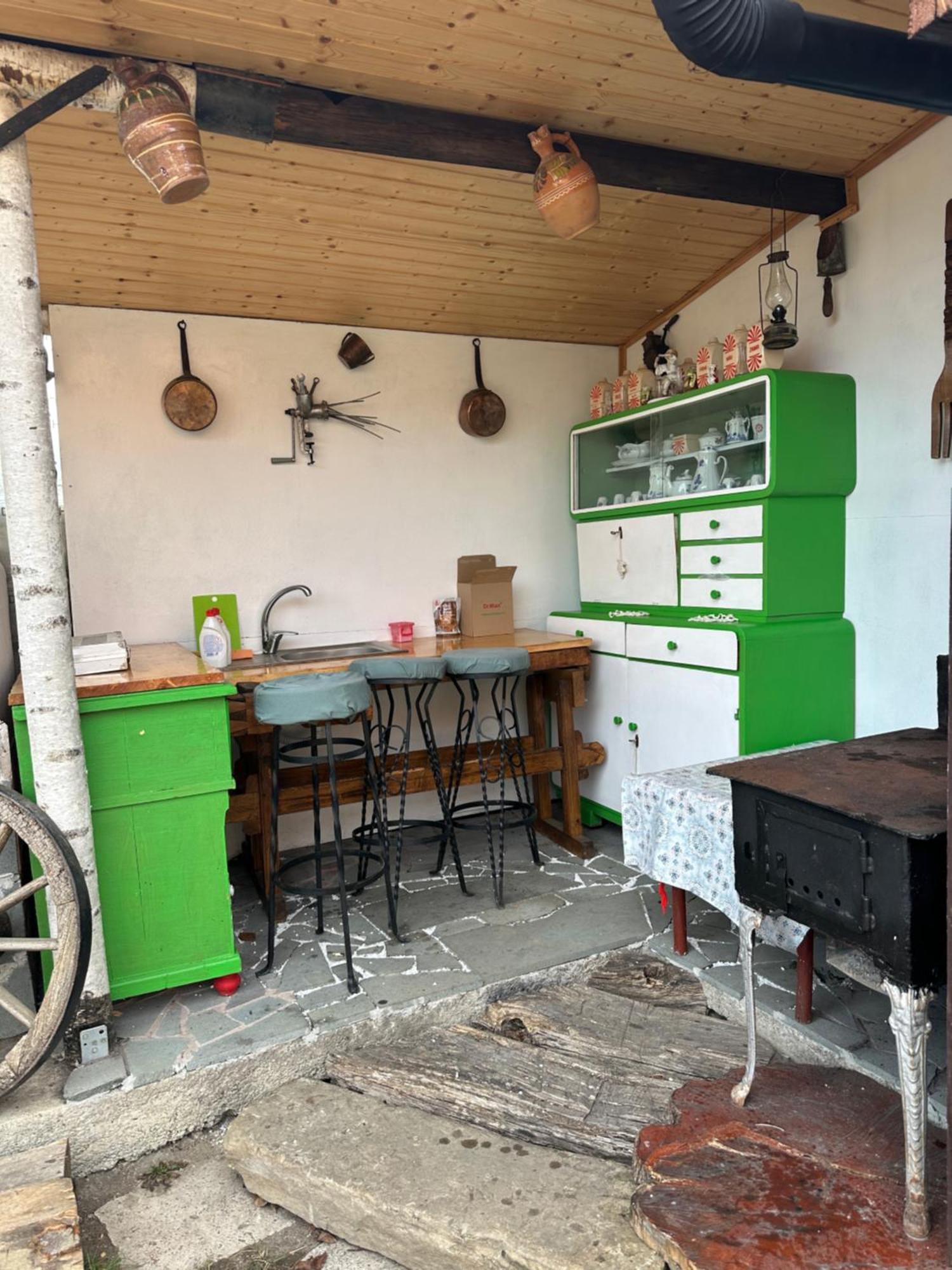 Ferienwohnung Casa Cezara Silvasu de Jos Exterior foto