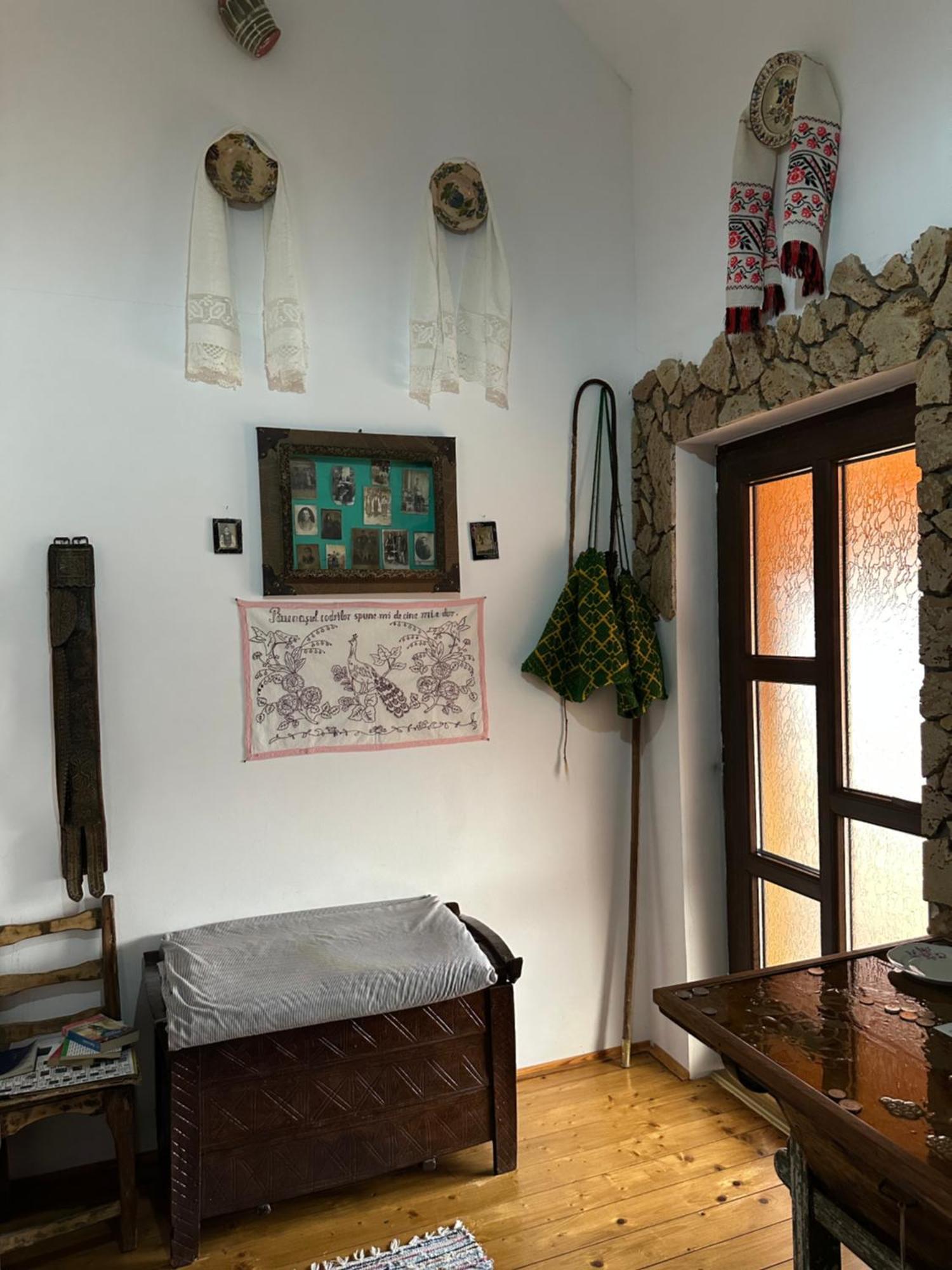 Ferienwohnung Casa Cezara Silvasu de Jos Exterior foto