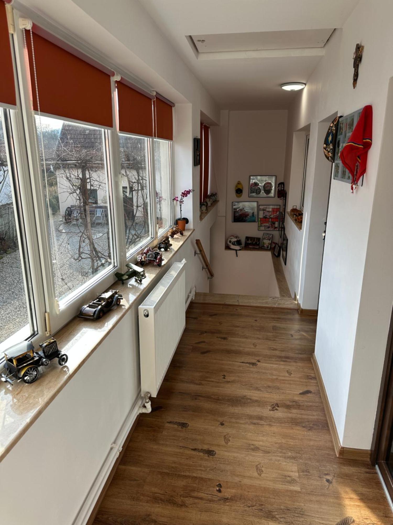 Ferienwohnung Casa Cezara Silvasu de Jos Exterior foto