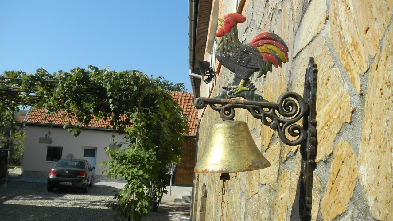 Ferienwohnung Casa Cezara Silvasu de Jos Exterior foto