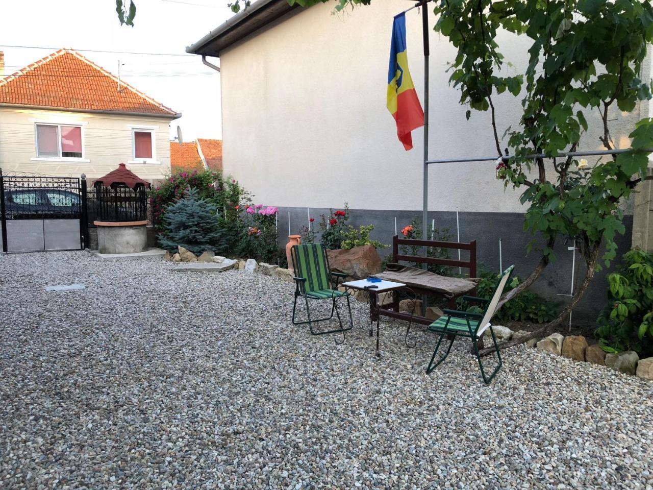 Ferienwohnung Casa Cezara Silvasu de Jos Exterior foto