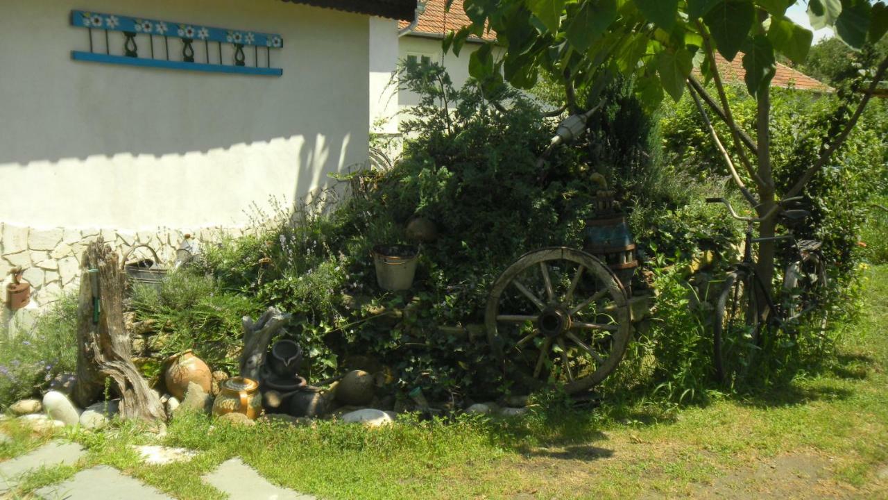 Ferienwohnung Casa Cezara Silvasu de Jos Exterior foto