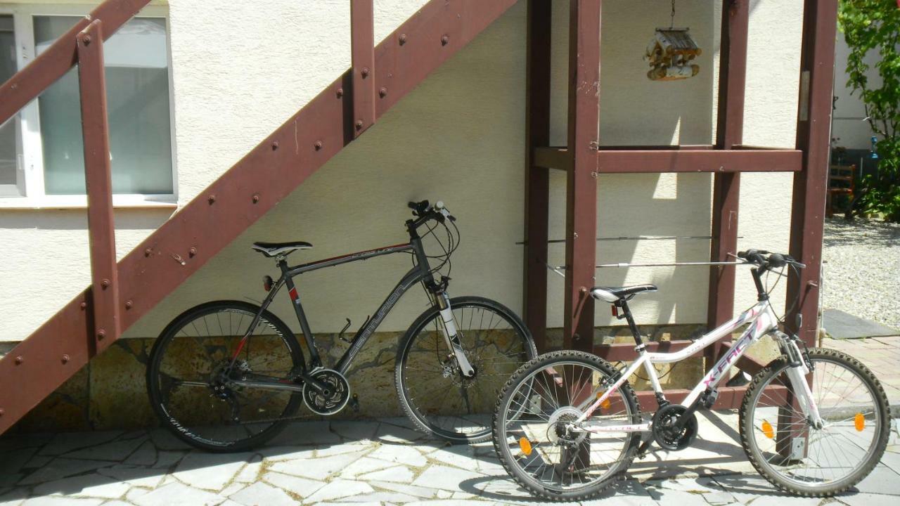Ferienwohnung Casa Cezara Silvasu de Jos Exterior foto